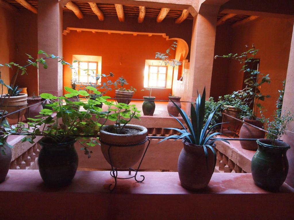 Casbah D'Hote La Jeanne Tourisme Ecologique Boumalne Εξωτερικό φωτογραφία